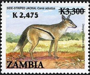 Stamp, Canis adustis, Zambia,  , Animals (Fauna), Mammals
