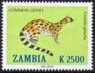 Stamp, Genetta genetta, Zambia,  , Animals (Fauna), Mammals, Wild Cats