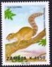 Heliosciurus gambianus