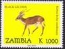 Kobus leche smithemani