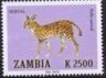 Leptailurus serval