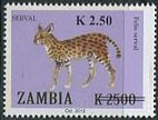 Leptailurus serval, overprint
