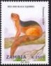 Stamp, Paraxerus lucifer, Zambia,  , Animals (Fauna), Mammals, Squirrels