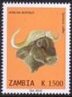 Stamp, Syncerus caffer, Zambia,  , Animals (Fauna), Buffaloes, Mammals