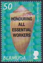 Stamp, Bermuda Cone (Conus mindanus) with Essential Workers Ovpt, Bermuda,  , Diseases, Shells
