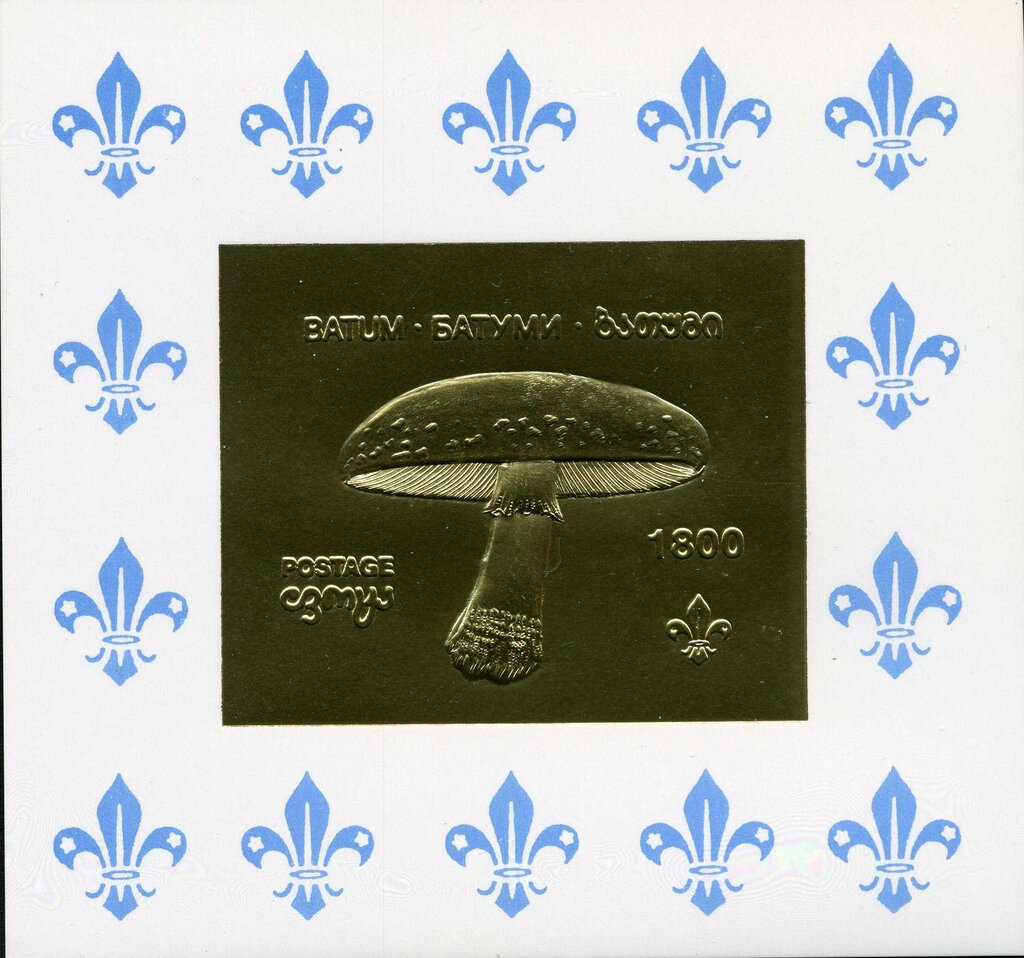 Amanita muscaria