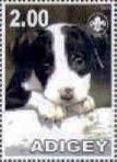 American Bull Terrier