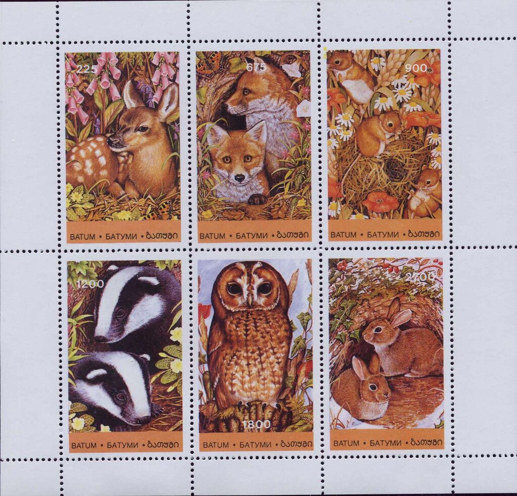 Animals