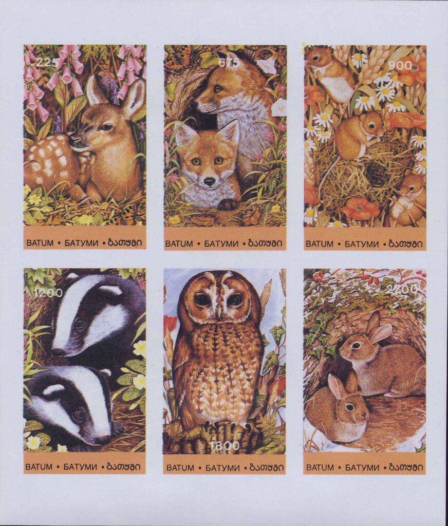 Animals