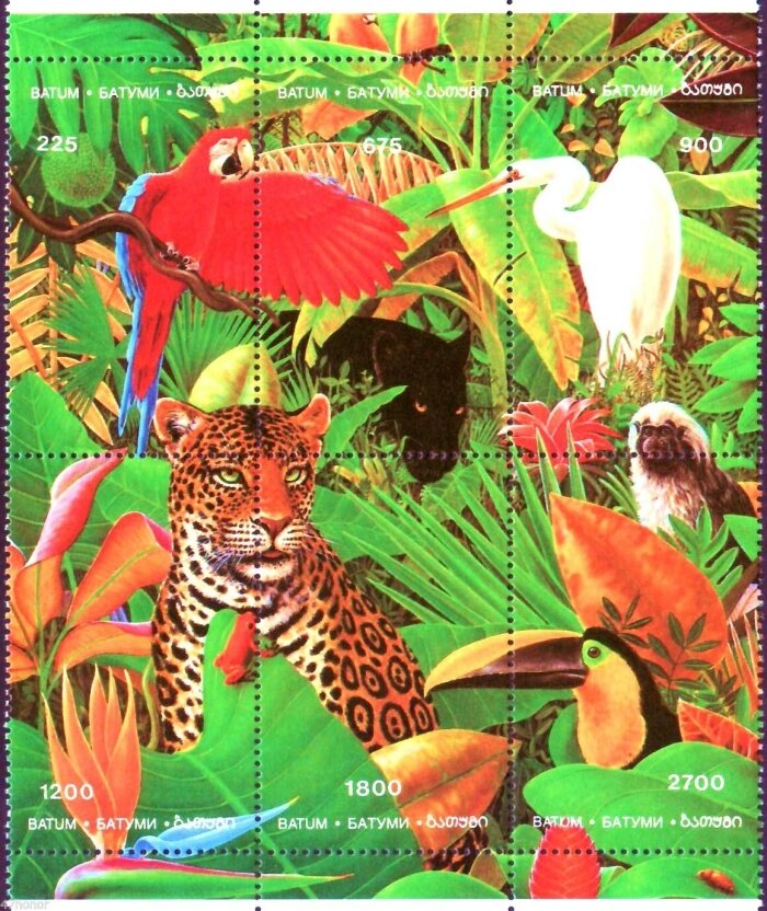 Animals