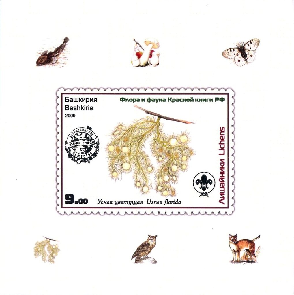 Animals