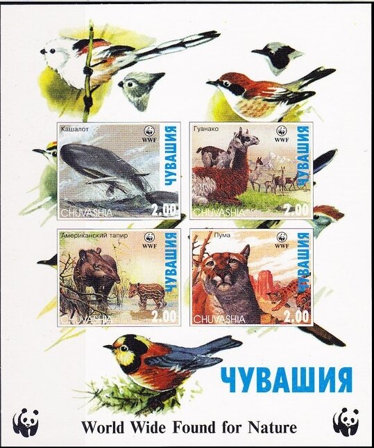 Animals WWF