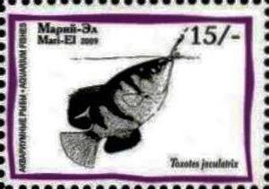 Stamp, Aquarium Fish, Cinderellas,  , Animals (Fauna), Fishes