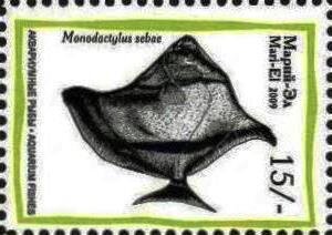 Aquarium Fish