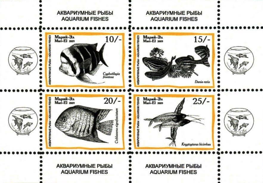 Aquarium Fishes