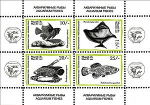 Mini Sheet, Aquarium Fishes, Cinderellas,  , Animals (Fauna), Fishes