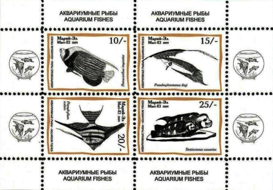 Aquarium Fishes