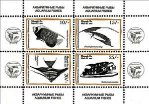 Mini Sheet, Aquarium Fishes, Cinderellas,  , Animals (Fauna), Fishes