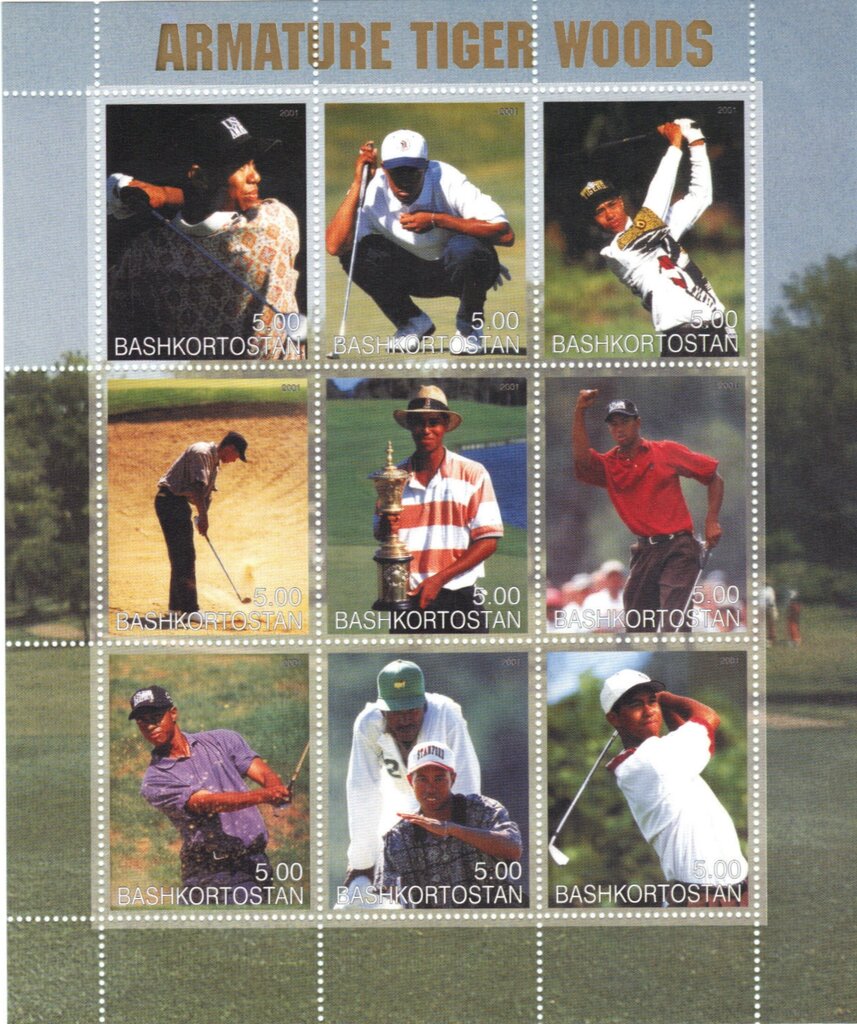 Armature Tiger Woods