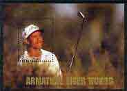 Armature Tiger Woods