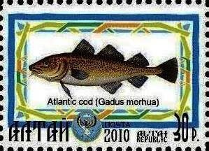 Stamp, Atlantic Cod, Cinderellas,  , Animals (Fauna), Fishes