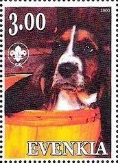 Basset Hound