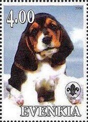 Basset Hound