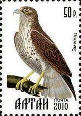 Stamp, Bird, Cinderellas,  , Animals (Fauna), Birds, Birds of Prey