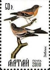 Stamp, Bird, Cinderellas,  , Animals (Fauna), Birds, Birds of Prey