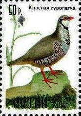 Stamp, Bird, Cinderellas,  , Animals (Fauna), Birds, Birds of Prey