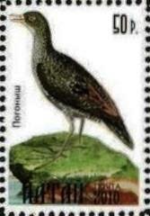 Stamp, Bird, Cinderellas,  , Animals (Fauna), Birds