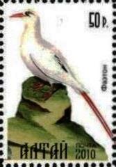 Stamp, Bird, Cinderellas,  , Animals (Fauna), Birds