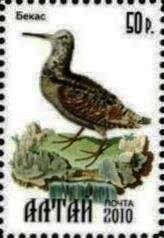 Stamp, Bird, Cinderellas,  , Animals (Fauna), Birds