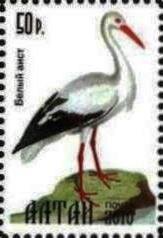 Stamp, Bird, Cinderellas,  , Animals (Fauna), Birds