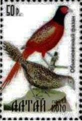 Stamp, Bird, Cinderellas,  , Animals (Fauna), Birds