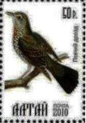 Bird