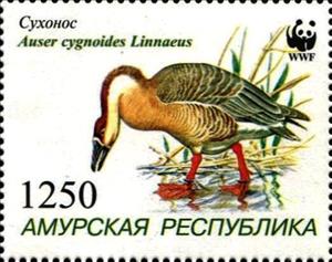 Stamp, Bird, Cinderellas,  , Animals (Fauna), Birds