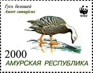 Stamp, Bird, Cinderellas,  , Animals (Fauna), Birds