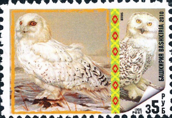 Birds