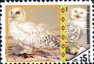 Stamp, Birds, Cinderellas,  , Animals (Fauna), Birds, Birds of Prey