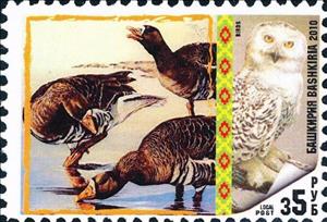 Stamp, Birds, Cinderellas,  , Animals (Fauna), Birds, Birds of Prey