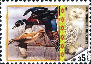 Stamp, Birds, Cinderellas,  , Animals (Fauna), Birds, Birds of Prey
