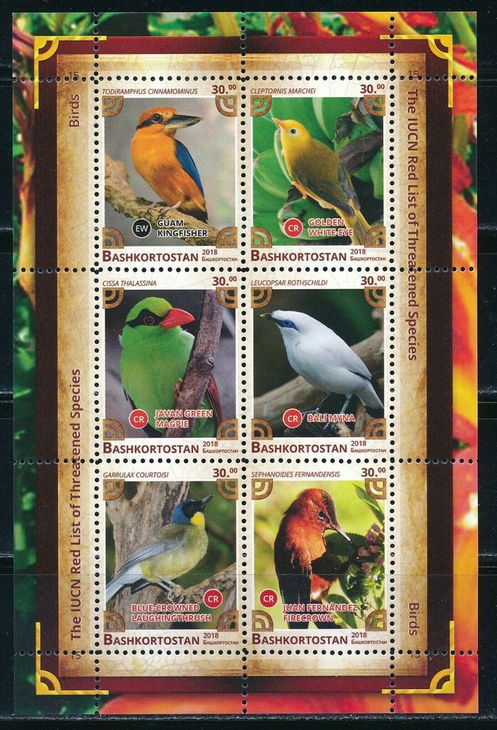 Birds