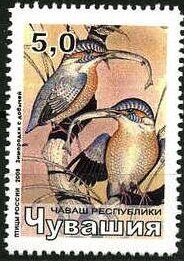 Birds