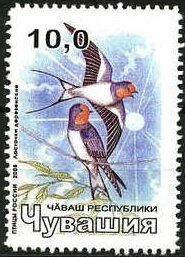 Birds