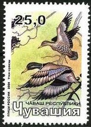 Stamp, Birds, Cinderellas,  , Animals (Fauna), Birds