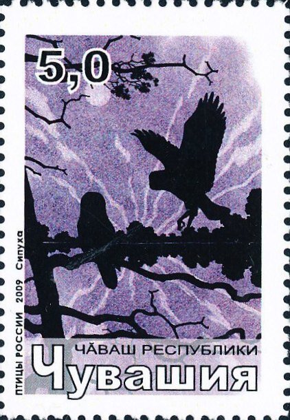 Birds