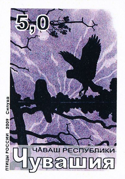 Birds