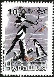 Stamp, Birds, Cinderellas,  , Animals (Fauna), Birds, Birds of Prey