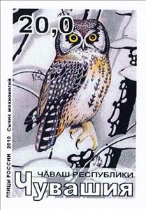 Stamp, Birds, Cinderellas,  , Animals (Fauna), Birds, Birds of Prey